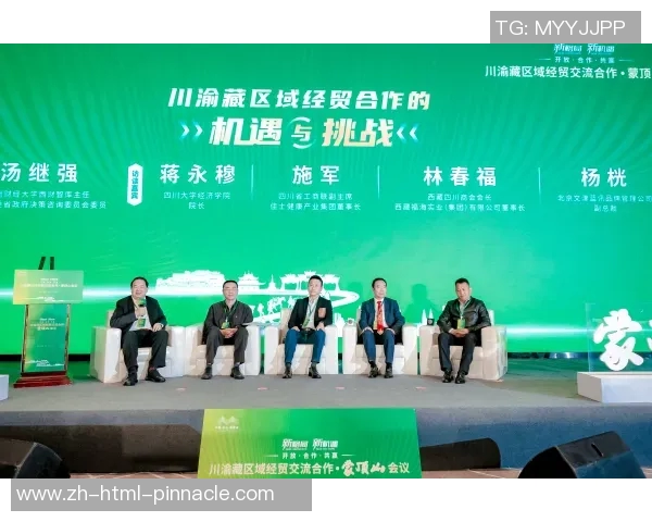 川渝与浙江的文化碰撞与经济竞争探讨新机遇与挑战